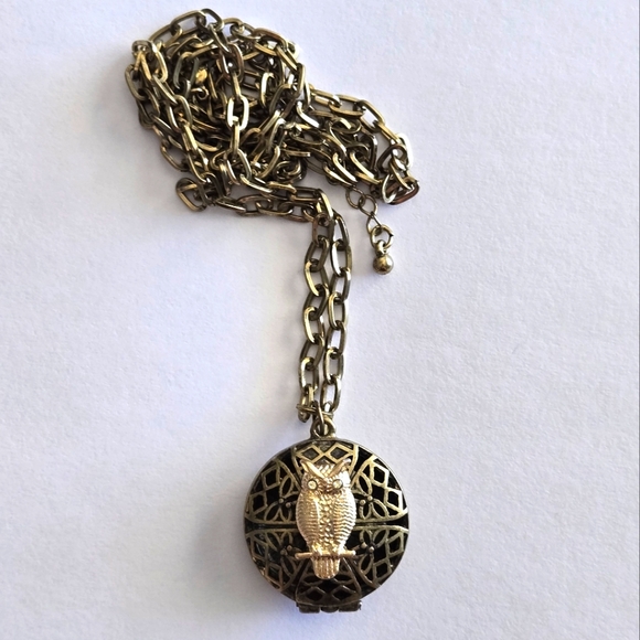 Unbranded Jewelry - Faux Antique Brass Colored Metal Gold Owl Locket Aromatherapy Pendant Necklace